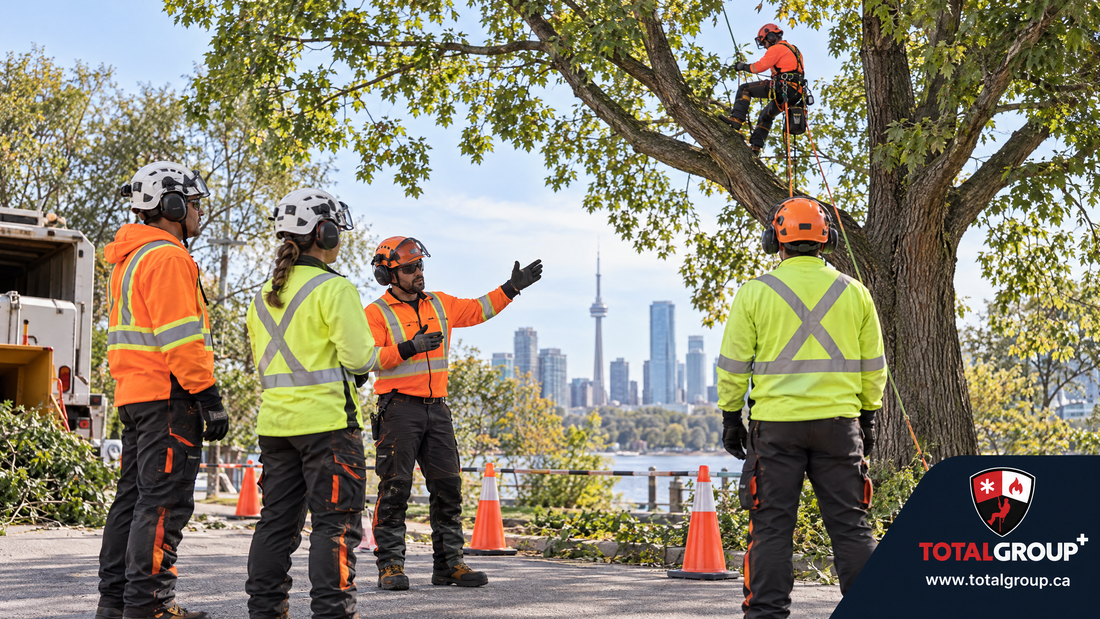 Total Group arborist crew briefing for controlled tree-care work