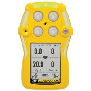 BW GasAlertQuattro