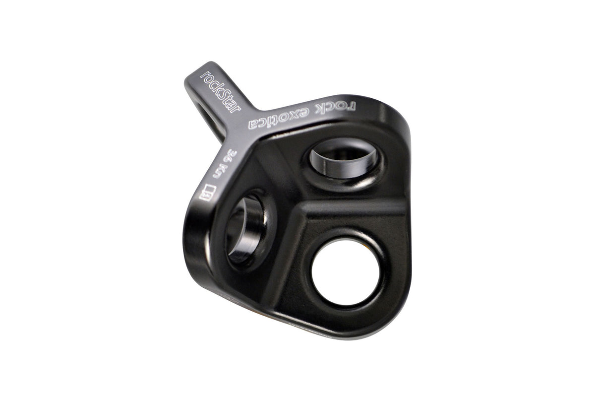 ROCK EXOTICA ROCK EXOTICA ROCK STAR 3D Anchor Plate — RP22
