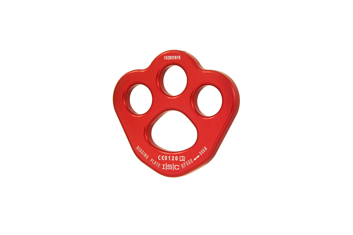 INTERNATIONAL SAFETY COMPONENTS (ISC) ISC Small Anchor Plate – RP300A